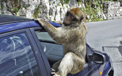 Gibraltar